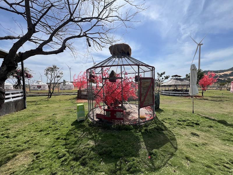 Mian FARM Bình Thuận