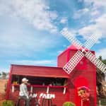 Mian FARM Bình Thuận Có Gì Hấp Dẫn? Review & Kinh Nghiệm Du Lịch Chi Tiết