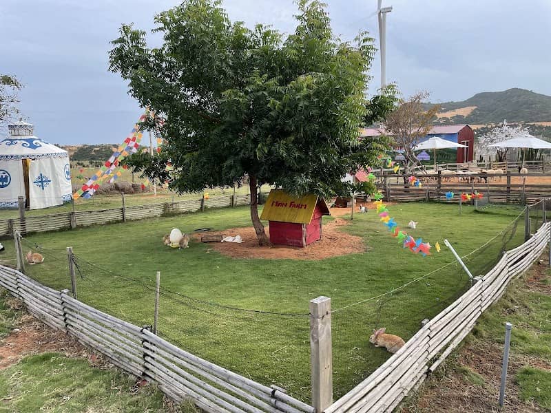 Ăn gì ở Mian FARM Bình Thuận