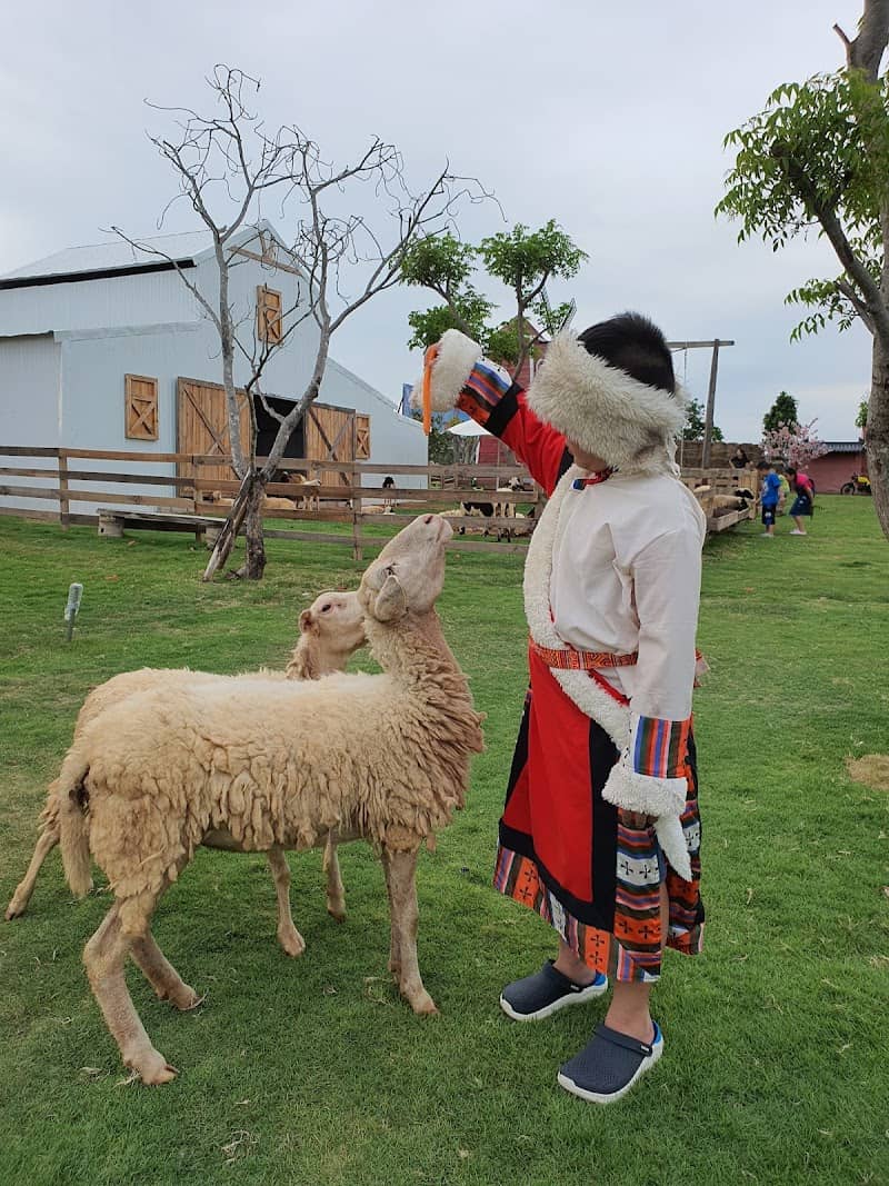 Tips du lịch Mian FARM Bình Thuận