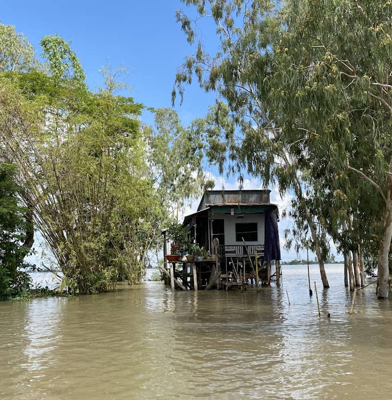 Dịch vụ Ms San Tours