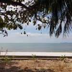 Mũi Ông Cọp có gì hấp dẫn? Review & Kinh nghiệm du lịch chi tiết