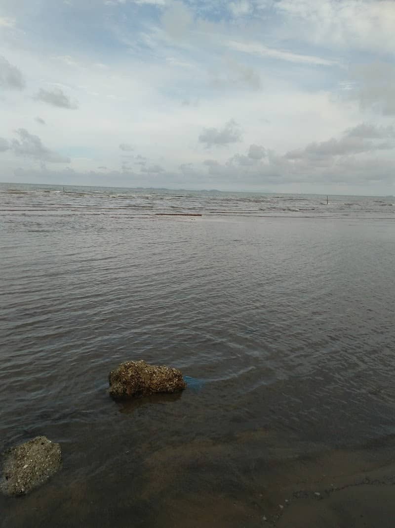 Khung cảnh cắm trại tại Mũi Ông Cọp