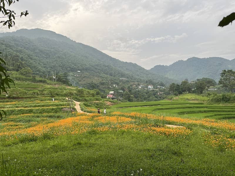Khu lều Glamping sang trọng