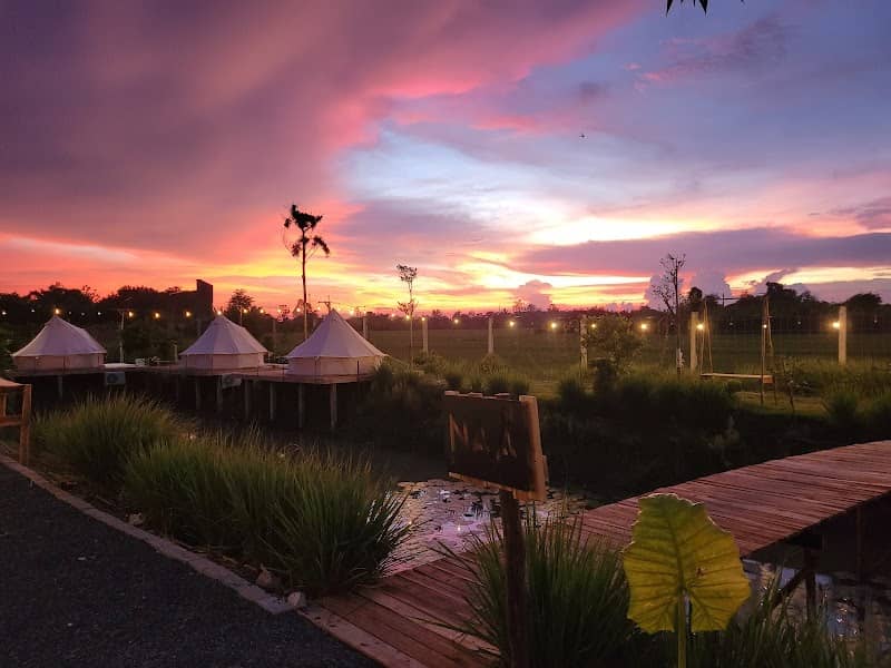 Naa Garden Coffee Glamping view 3