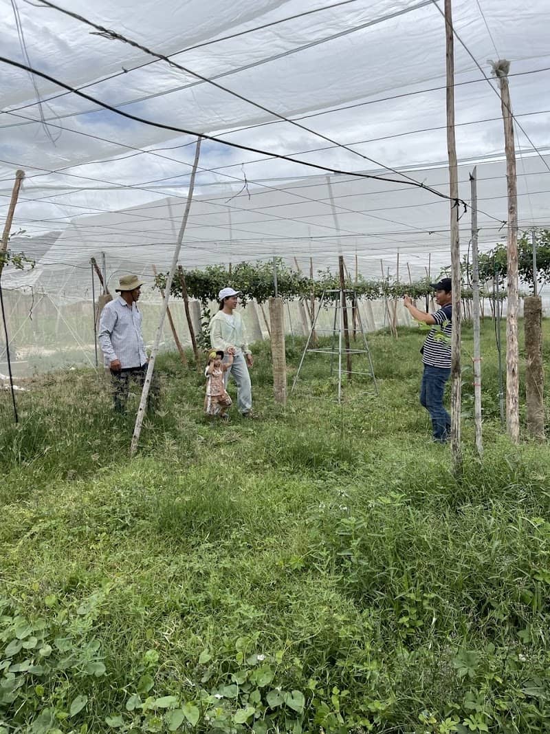 Nông sản hữu cơ tại Ngon Farm (Hợp Tác Xã Nông Minh)