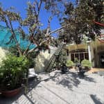 Nhà Mơ Homestay Bến Tre Có Gì Hấp Dẫn? Review & Kinh Nghiệm Du Lịch Chi Tiết