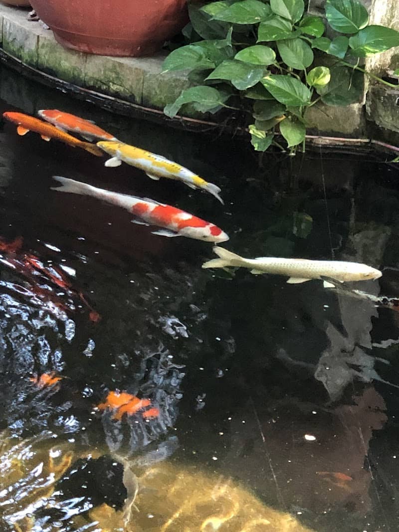 Hình ảnh Nhà Nghỉ Long Vũ 3