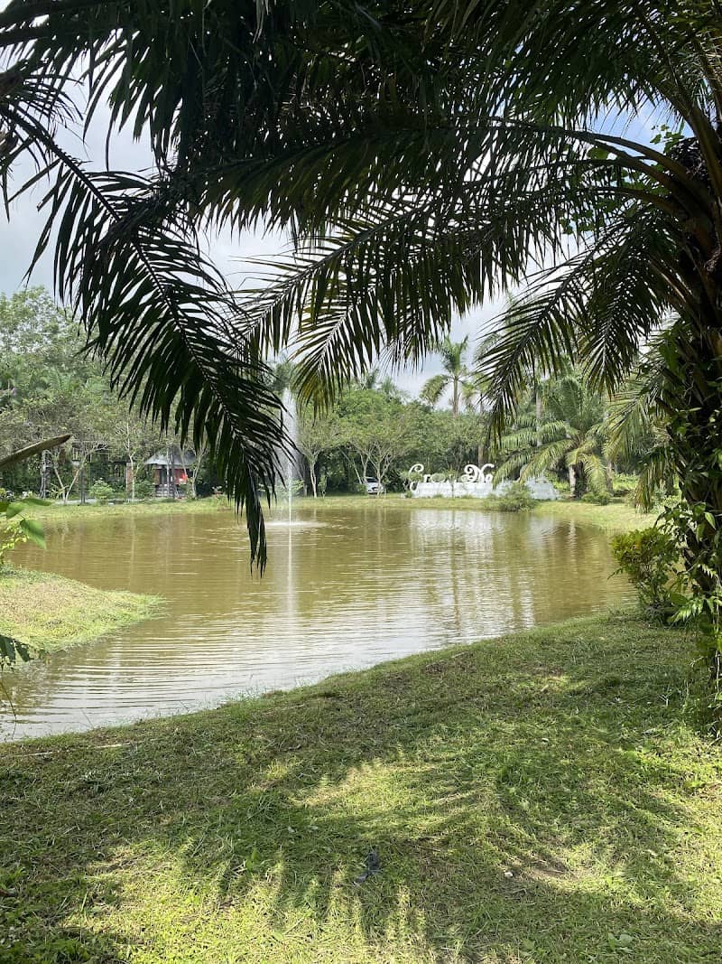 Cảnh quan Nông Trang Xanh Củ Chi