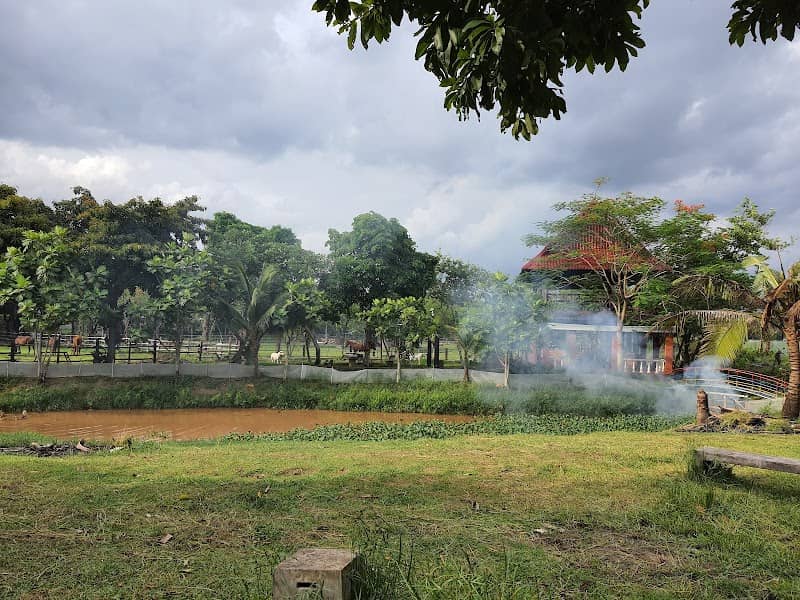 Cho dê ăn ở Nông Trang Xanh