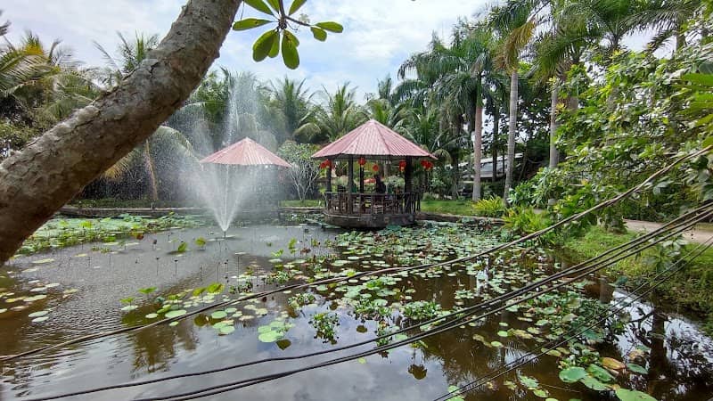 Trải nghiệm vắt sữa bò