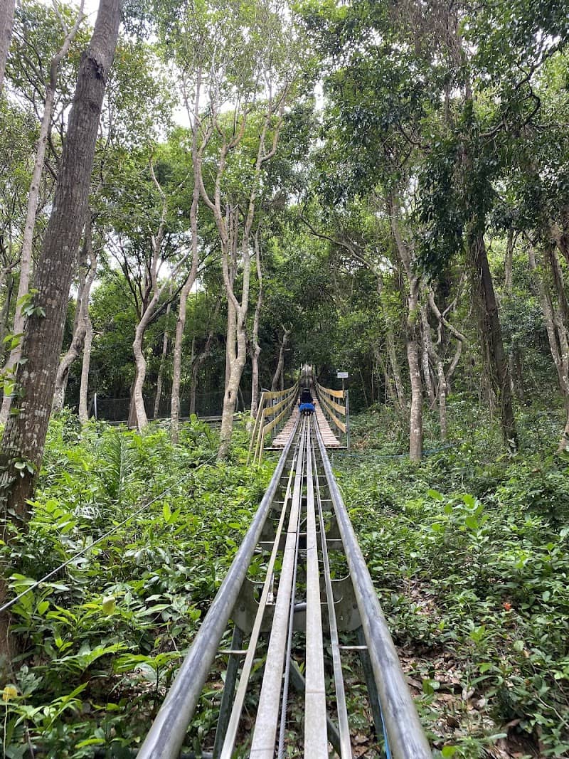 View từ đỉnh Núi Tà Pang