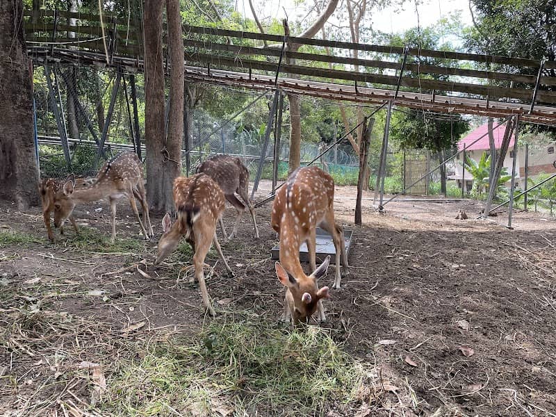 Hoàng hôn Núi Tà Pang