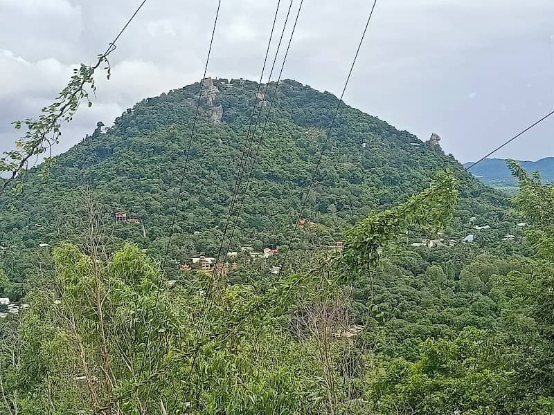 Khung cảnh làng quê An Giang từ Núi Trà Sư