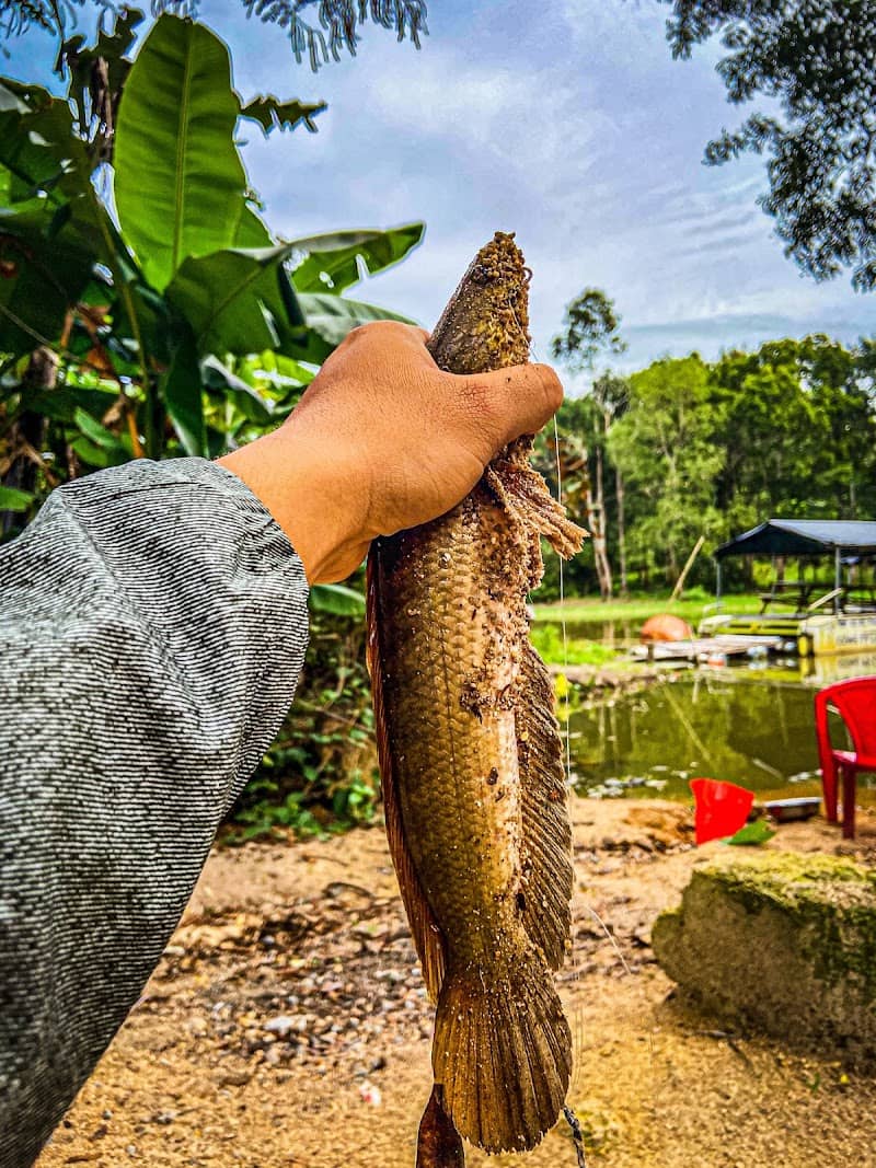 Ong Rừng Camping And Fishing cảnh đẹp