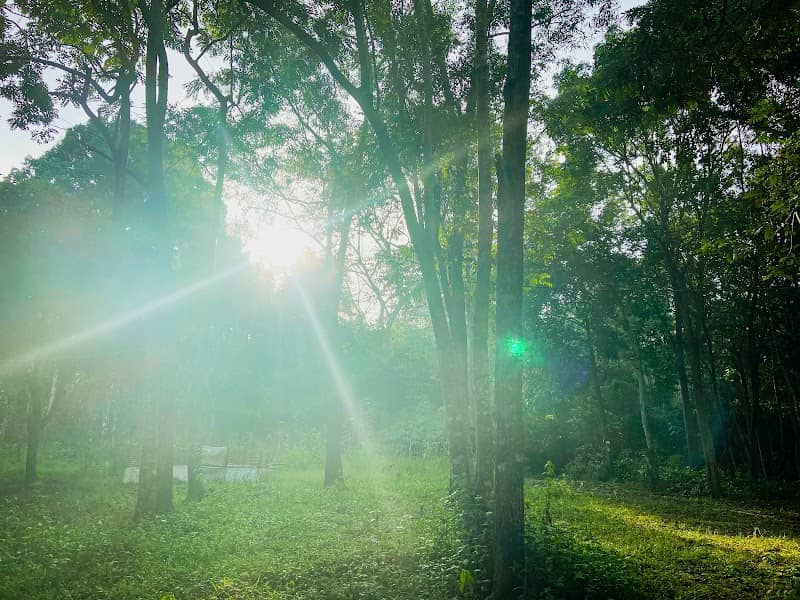 Ẩm thực Ong Rừng Camping And Fishing