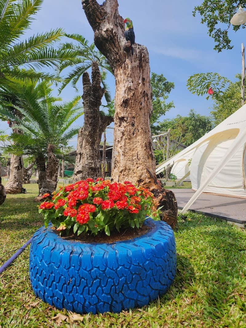Peace Camping Cần Giờ với lều trại tiện nghi