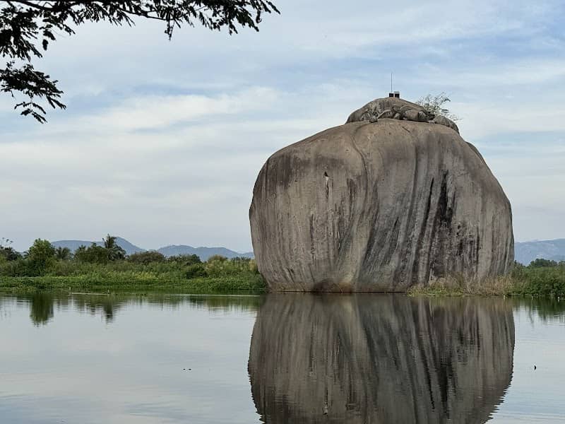 Phú Điền Homestay Đồng Nai - View tổng quan