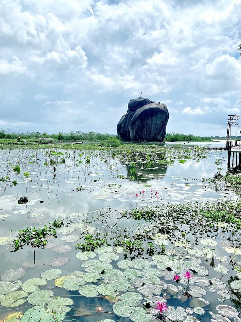 Không gian xanh mát tại Phú Điền Homestay
