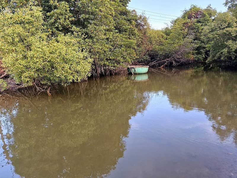 Phước Hải Island - Glamping & Fishing