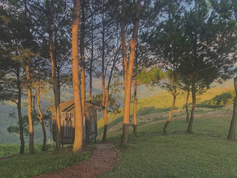 Con đường tại Pu Nhi Hill