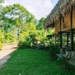 Quân Chu Farm