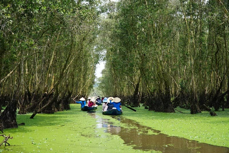 Review Rừng Tràm Trà Sư – Kinh Nghiệm Du Lịch An Giang Đừng Bỏ Lỡ!