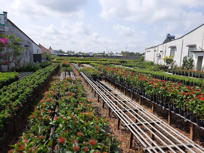 Một góc nhà hàng trong Sadec Bonsai Museum