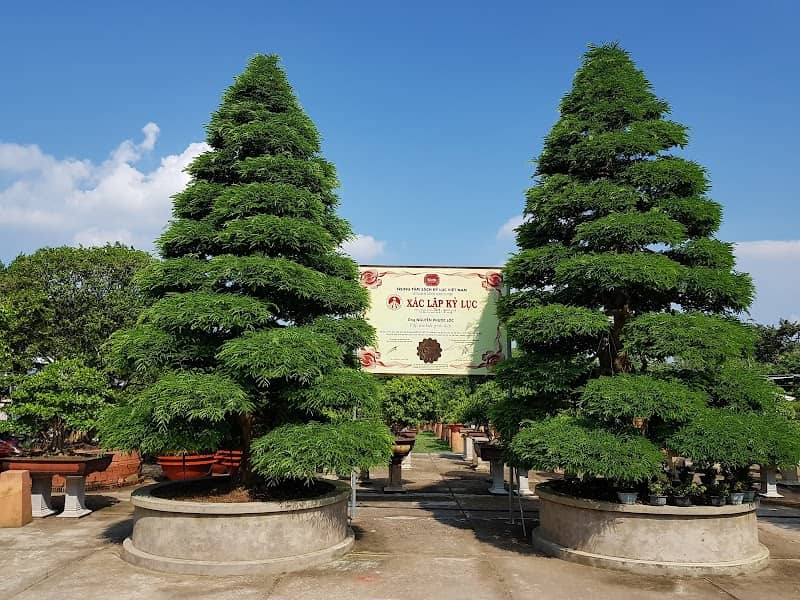 Sadec Bonsai Museum - Bảo Tàng Bonsai Sa Đéc Có Gì Hấp Dẫn? Review & Kinh Nghiệm Du Lịch Chi Tiết
