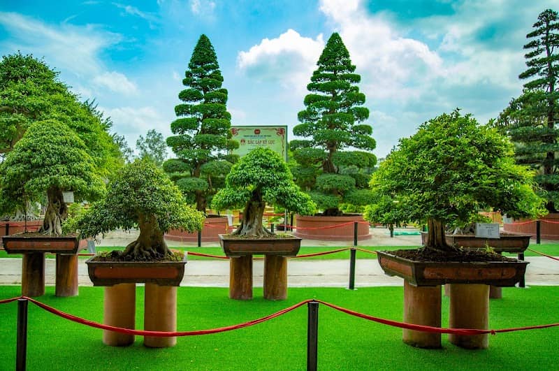 Cảnh đẹp Sadec Farmstay