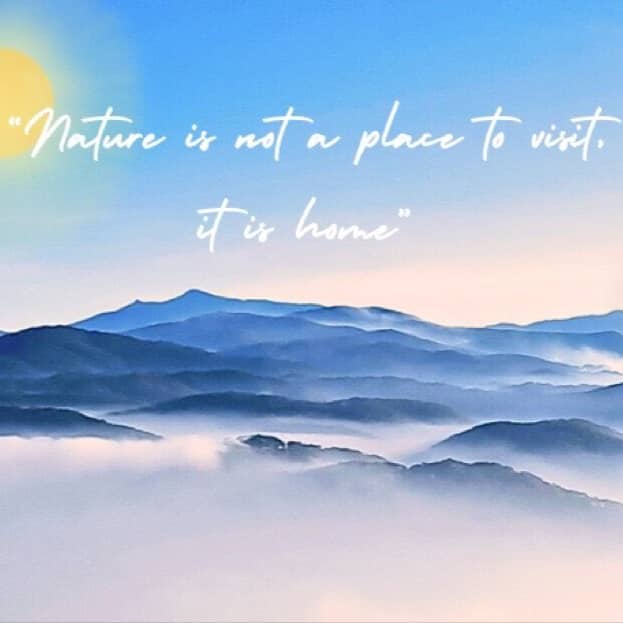 Săn mây Cầu Gỗ - Sông Mây
