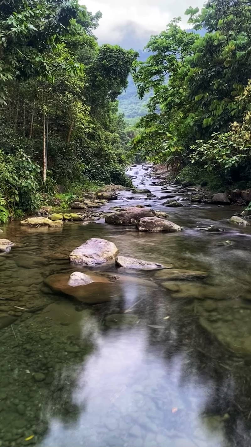 Suối Đá Trắng Glamping - Khu vực lửa trại