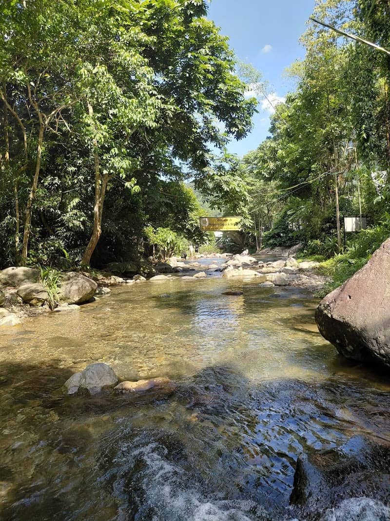 Suối Đá Trắng Glamping: Hành Trình Chạm Đến Bình Yên Giữa Thiên Nhiên Thái Nguyên