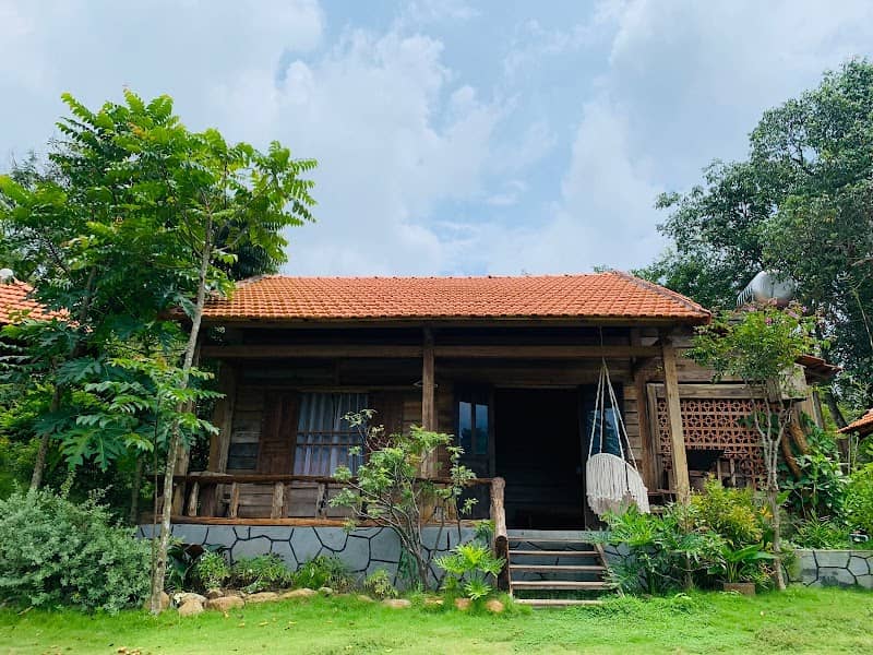 Suối Rao Forest Hoạt Động