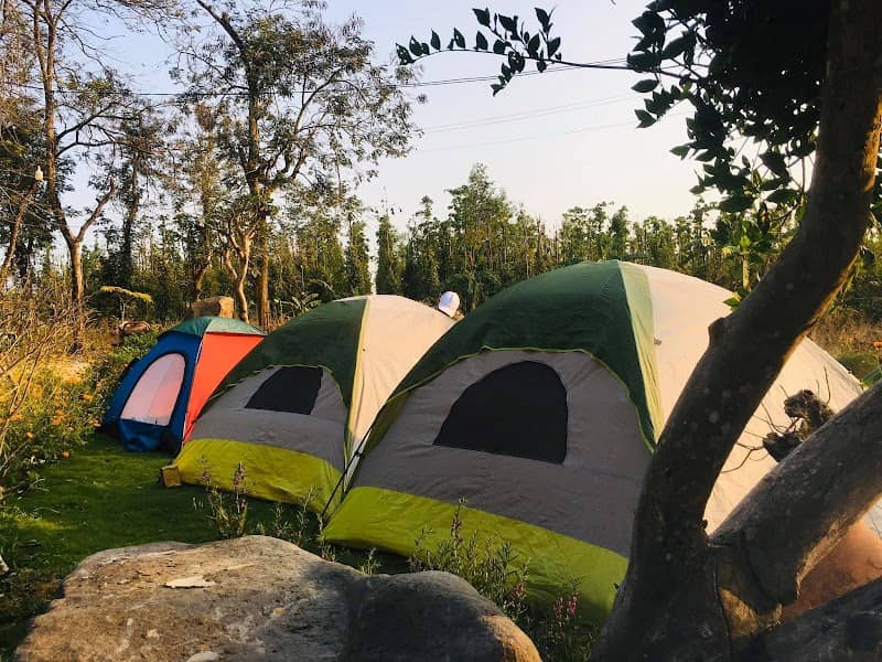Suối Rao Forest