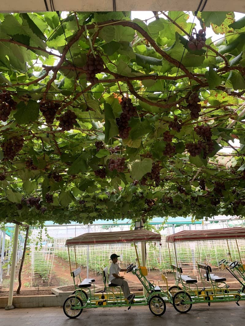 Không gian xanh Suối Tiên Farm