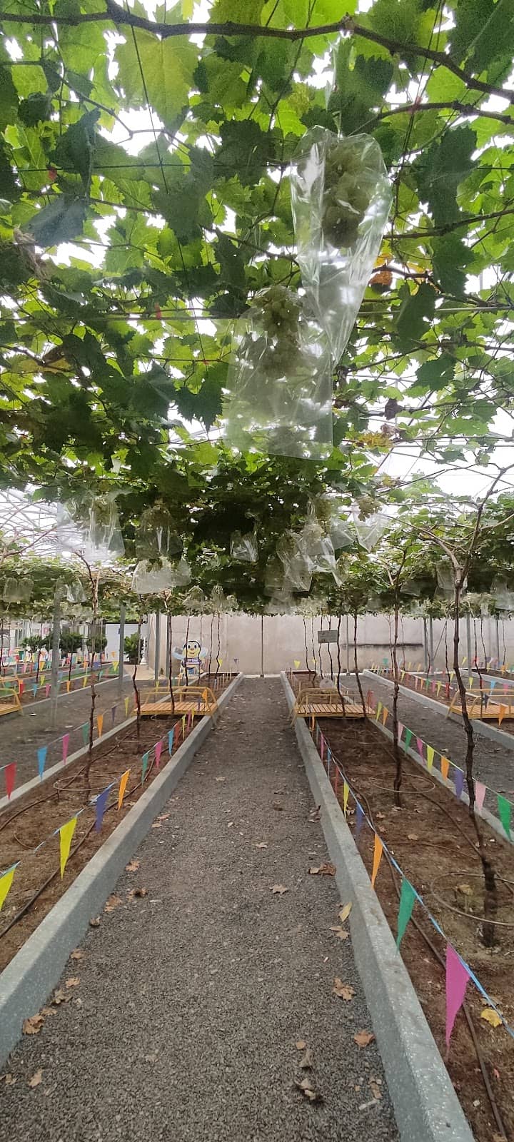 Nông trại Suối Tiên Farm