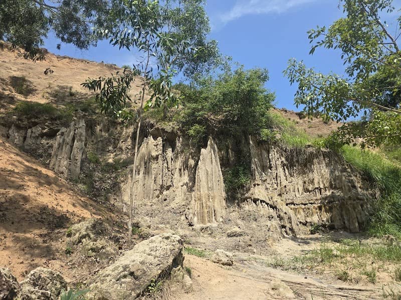 Suối Tiên - Điểm đến check-in