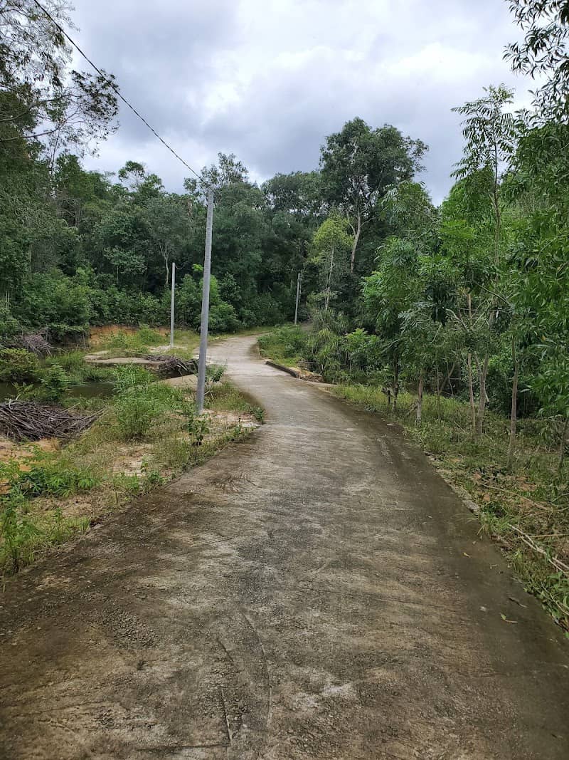 Cảnh đẹp Suối Tiên