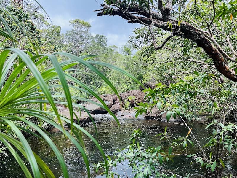 Dã ngoại Suối Tiên