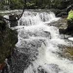 Review Suối Tiên – Kinh Nghiệm Du Lịch Phú Quốc Hấp Dẫn