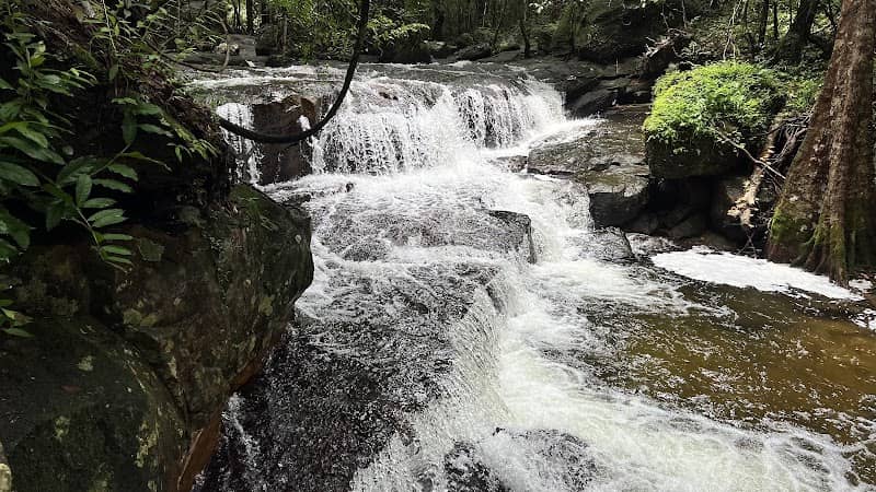 Thiên nhiên Suối Tiên