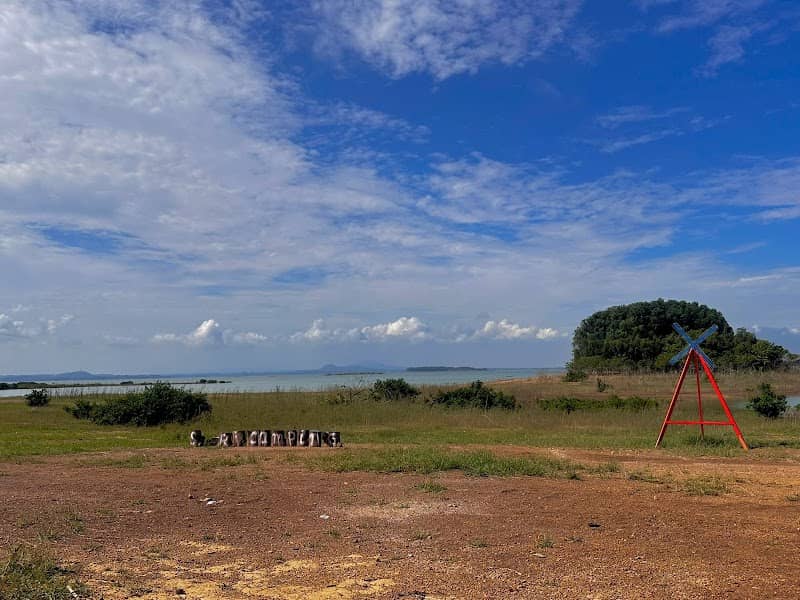 Review Suri Camping Hồ Trị An – Tất Tần Tật Kinh Nghiệm Du Lịch Chi Tiết