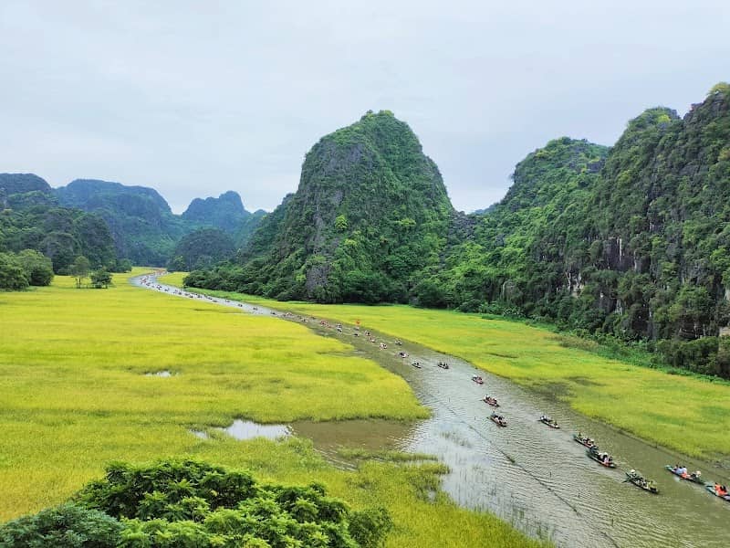 Tam Cốc Bích Động mùa lúa chín