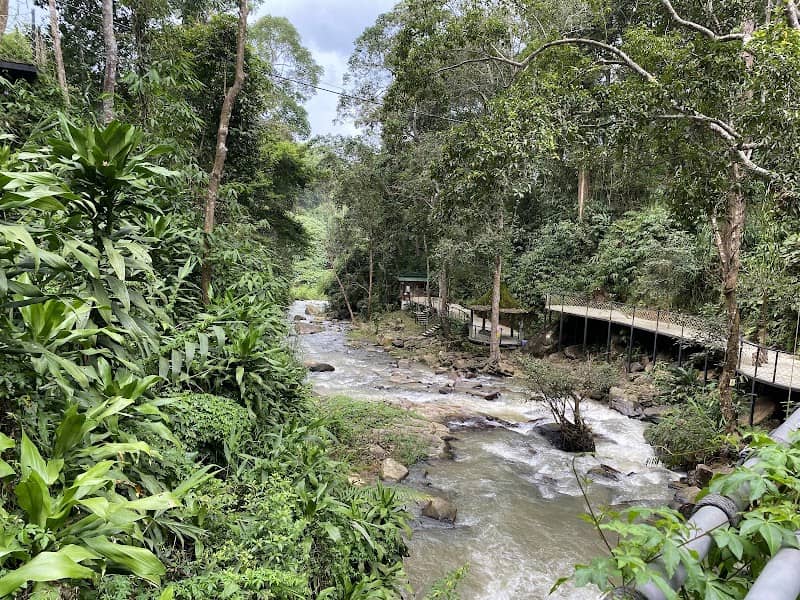 Khu cắm trại Thác Cầu 4