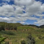 Review Thác Cầu 4 (Liliang) - Cẩm Nang Khám Phá Thác Nước Hoang Sơ Di Linh A-Z