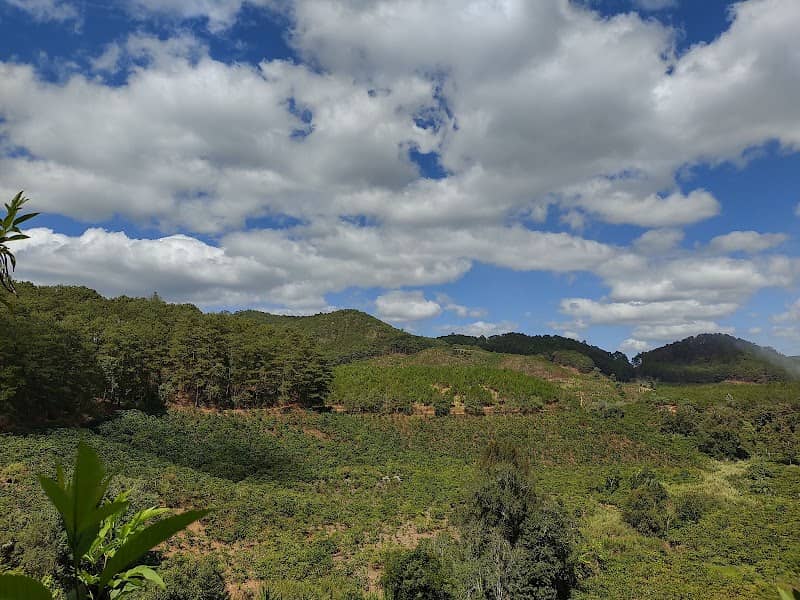 Vẻ đẹp hoang sơ Thác Cầu 4