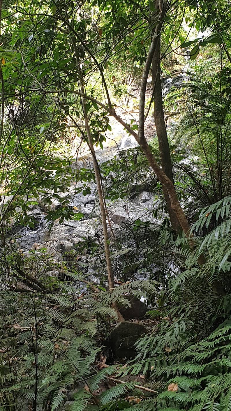 Thác Cầu 4 góc nhìn từ trên cao