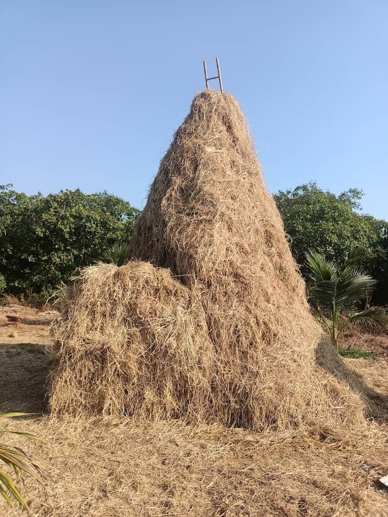 Hình ảnh Thác Chính Hoà Bình