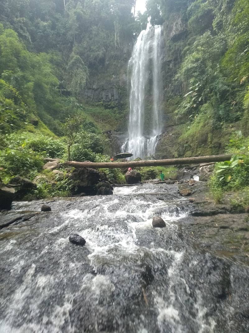 Review Thác Liêng Ài – Kinh Nghiệm Du Lịch Khám Phá Thác Nước Hùng Vĩ